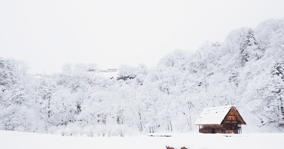 What Should You Inspect in Your Home After the January 2026 Freeze?